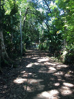 Camino interno hasta la playa