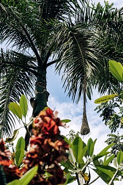 Playa a 100 metros de la cabaña
