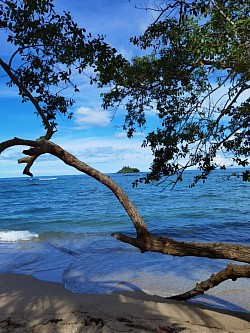 Colores de nuestro jardín